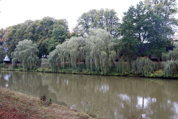 Zobrazit Řeky Hase Jeho Odrazy Vody Stromů Emsland Meppen Německo — Stock fotografie