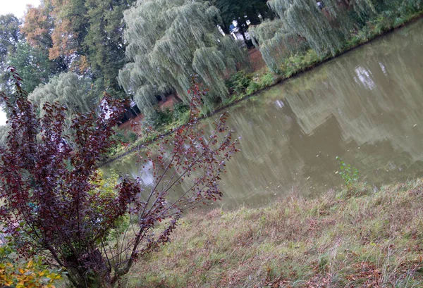 Ampla Vista Sobre Hase Rio Árvores Margem Rio Meppen Emsland — Fotografia de Stock