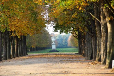park ve güneşli bir gün içinde çok renkli bir gezi turu sırasında Almanya fotoğraflandı şehir dresden sachsen heykelinin görüntüleyin