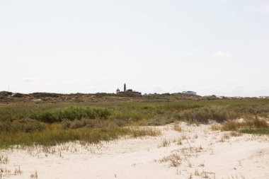 Beyaz kum ve kum tepeleri Kuzey Denizi üzerinde mavi bir gökyüzü altında geniş görüş borkum Almanya ada ve çok sıcak bir yaz günü peyzaj bir yolda renkli fotoğrafı