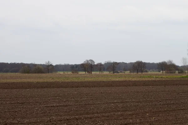 Vue Sur Les Champs Marrons Cultivés Dans Rhéde Emsland Allemagne — Photo