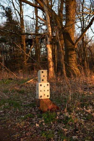 Vue Sur Trois Briques Agrafées Dans Bois Fresenburg Emsland Allemagne — Photo