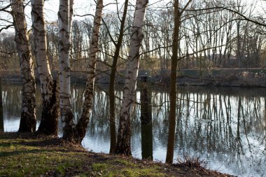 doğada bir yürüyüş sırasında fotoğraflanmış Meppen Emsland Almanya 'da bir yaz günü geç saatte etrafında bir nehir ve doğal peyzaj görünümü