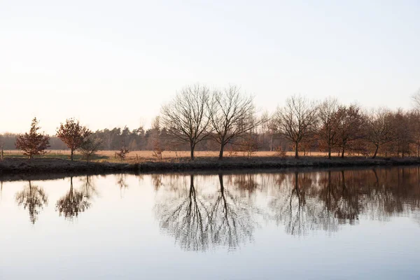 iki büyük ağaç görünümü ve nehrin fresenburg emsland Almanya doğada yürüyüş sırasında fotoğraflandı kayıp bir yerde onun su yansıma