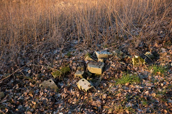 brick stone on a ground at a lost place in fresenburg emsland germany photographed during a walk in the nature