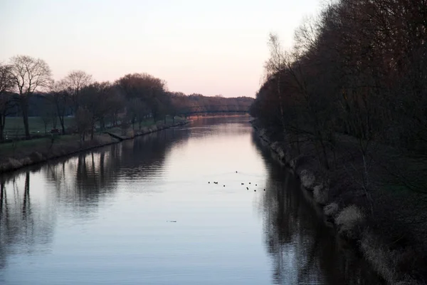 Wieczorem Widok Rzekę Allee Drzew Emsland Fresenburg Którą Niemcy Sfotografowany — Zdjęcie stockowe