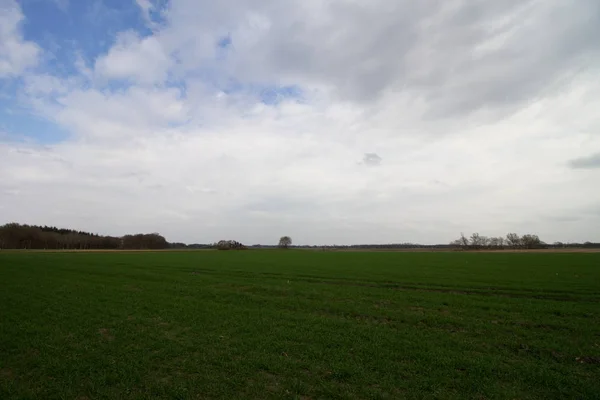 曇りの日に自然の中を散歩中に撮影されたドイツのレデエムスランドで曇った空の下で耕された土地の眺め — ストック写真