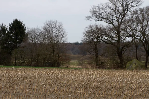 Vue Sur Champ Chaume Rhede Ems Emsland Allemagne Photographié Lors — Photo