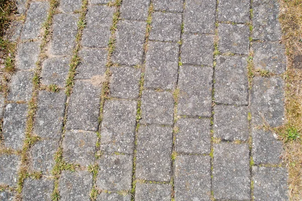 Una Superficie Piedras Geeste Emsland Alemania Fotografiado Durante Paseo Por — Foto de Stock