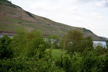 tepeve ren bingen ana hessen almanya görünümü bulutlu bir günde bir gezi turu fotoğraflandı