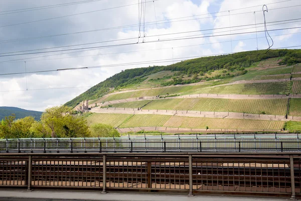 Vista Sobre Uma Colina Paisagem Bingen Principal Hessen Alemanha Fotografado — Fotografia de Stock