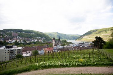 ren nehri ve bingen rhein içinde kilise üzerinde uzak görünümü hessen almanya bulutlu bir günde bir gezi turu fotoğraflandı