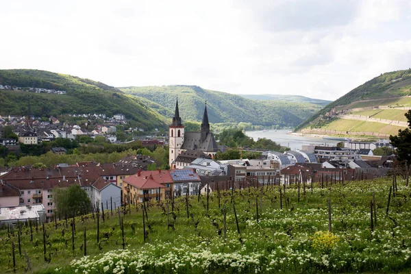 view on buildings behind the wine field in bingen am rhein in hessen germany photographed on a sightseeing tour at a cloudy day
