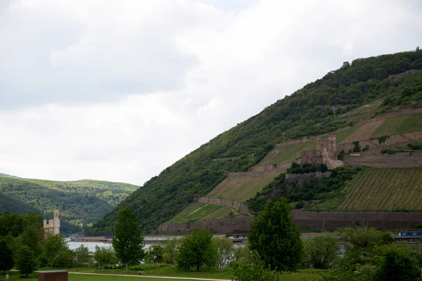 Widok Wzgórzu Ukryty Ren Bingen Rhein Hesji Niemcy Sfotografowane Zwiedzanie — Zdjęcie stockowe