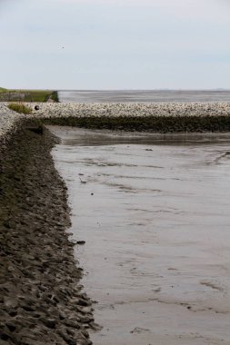 kuzey deniz adasında mavi bir gökyüzü altında bir sahilde görünümü juist Almanya güneşli bir günde bir gezi turu fotoğraflandı