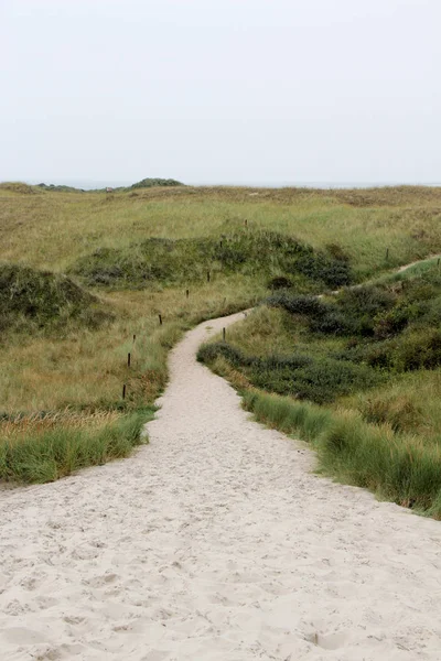 晴れた日の観光ツアーで撮影された北の海の島の青空の下の砂浜の歩道の遠景 — ストック写真