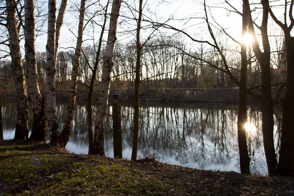 Vista Sobre Paisagem Natural Pequeno Rio Meppen Emsland Alemanha Fotografado — Fotografia de Stock