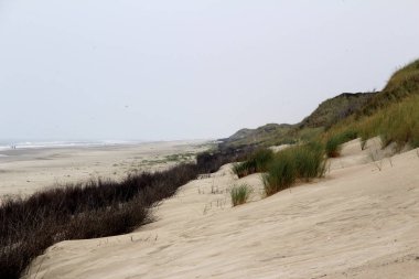 Kuzey Deniz Adası Juist Almanya 'da bir kum kumunda çapraz görünümü güneşli bir günde bir gezi turu fotoğraflandı
