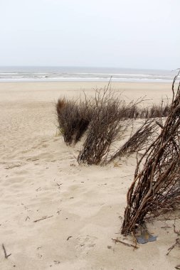 Kuzey Deniz Adası Juist Almanya 'da bir kum kumunda sonunda görünümü güneşli bir günde bir gezi turunda fotoğraflandı