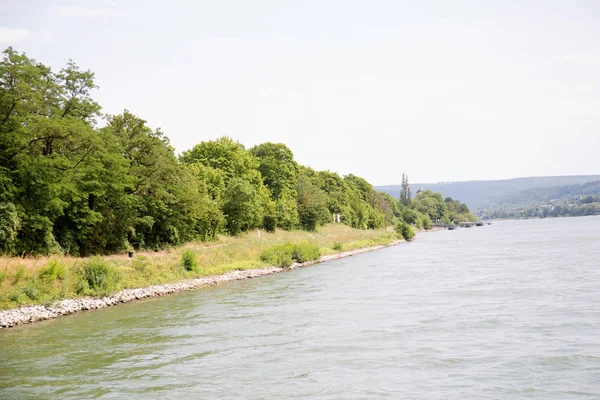 Bliższy Widok Rzekę Naturę Okolicach Koblencji Okolic Sfotografowany Podczas Zwiedzania — Zdjęcie stockowe