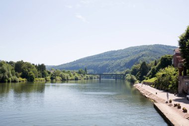 Tepedeki ve Heidelberg 'deki nekkar nehrindeki ağaç alanındaki manzara Almanya' daki bir gemi ile Almanya 'daki bir tur sırasında çekildi.