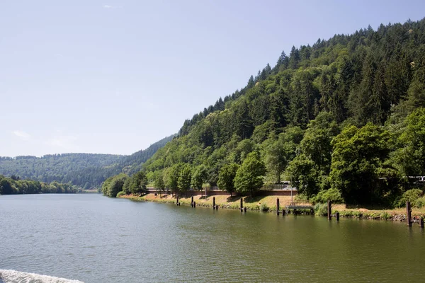 Blick Auf Den Hügel Und Die Baumwiese Neckar Heidelberg Deutschland — Stockfoto