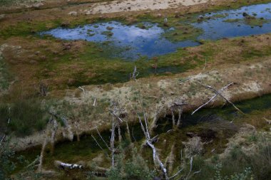 closer view on a moor with water puddle in germany