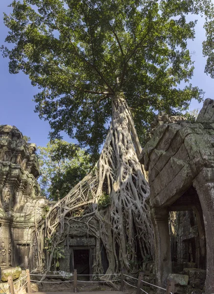 Prohm Templet Angkor Byggt Bayon 1200 Talet Och Hette Ursprungligen — Stockfoto