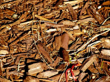 Kayalar ve enkaz kahverengi ahşap malç dağılın ve kullanılmak üzere hazır