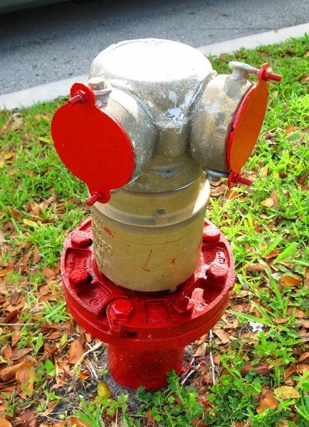 Rot Und Silber Frire Hydrant Auf Einer Öffentlichen Straße Eine — Stockfoto