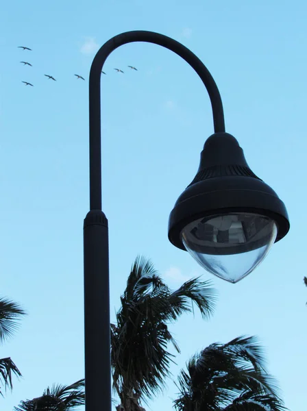 Metall Svart Street Lampa Ljus Inlägg Med Blå Himmel Och — Stockfoto