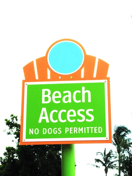 Acceso Playa Permite Perro Verde Naranja Signo —  Fotos de Stock