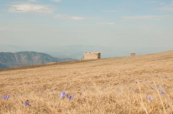 Krasnodar Territorio Verano Parque Nacional Día Fiesta Viaje Montañas Naturaleza — Foto de Stock