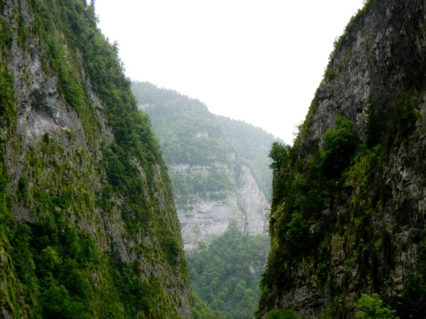 yeşillik içinde gömülü dağlar yaz peyzaj