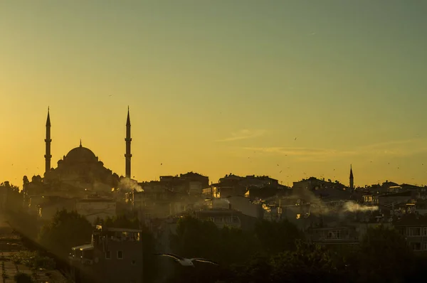 Güzel bir akşam Istanbul manzarası.
