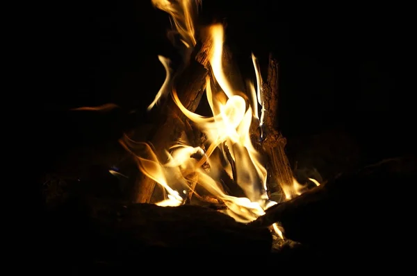 Bonfire Carpathian Forest — Stock Photo, Image