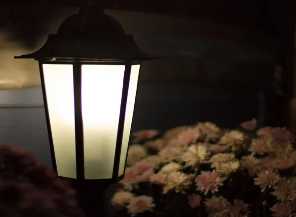 Farola Sobre Fondo Flores —  Fotos de Stock