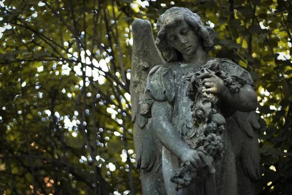 Estátua Anjo Contra Fundo Folhagem Outono — Fotografia de Stock
