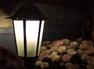 Çiçekler bir arka plan üzerinde sokak lambası