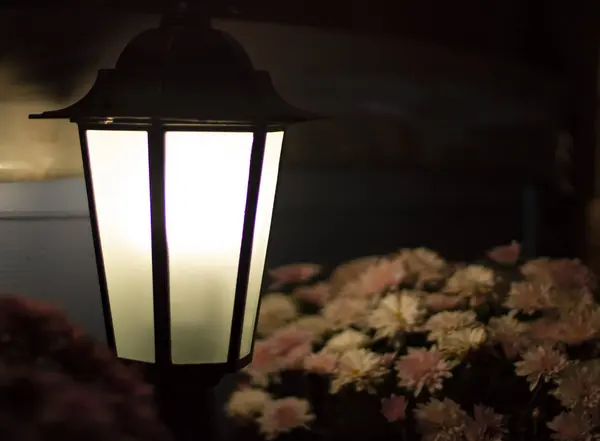 Уличная Лампа Фоне Цветов — стоковое фото