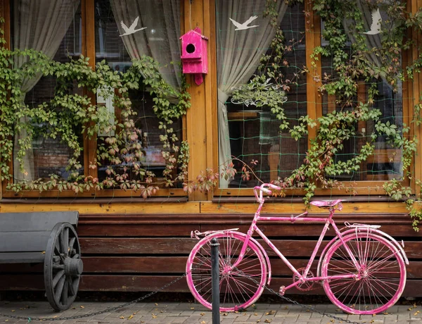 Decorated City Showcase Pink Bicycle Birdhouse Vintage Bench — Stock Photo, Image