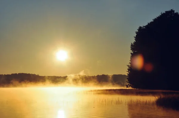 Beautiful sunrise by the lake. Fog on water. Beauty of idyllic nature, ladnscape, poland concept.