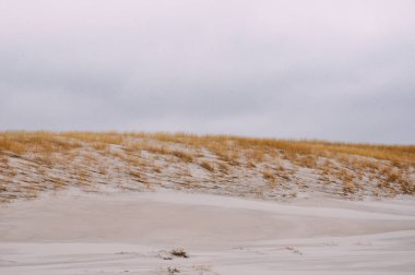 Yaz aylarında hava sırasında küçük çalılar ile sahilde kum tepeleri. Açık pastel gri gökyüzü