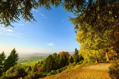 Fairytale orman sonbahar yaprakları