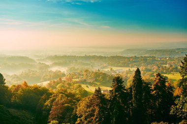 Fairytale orman sonbahar yaprakları