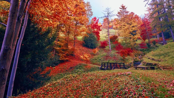 Folhagem Outono Floresta Contos Fadas — Fotografia de Stock