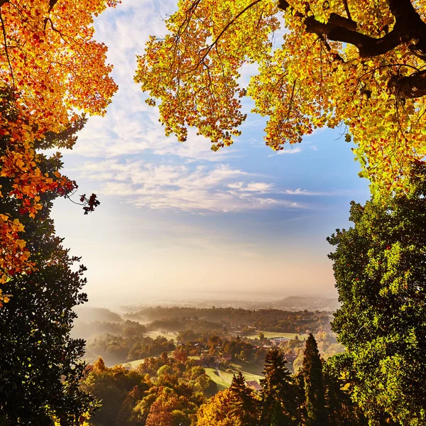 Fairytale orman sonbahar yaprakları