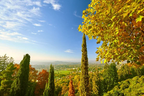 Fairytale orman sonbahar yaprakları