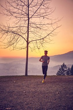 Runner park güneş sonbaharda açık 