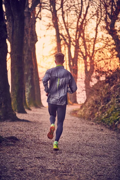 Runner park güneş sonbaharda açık 